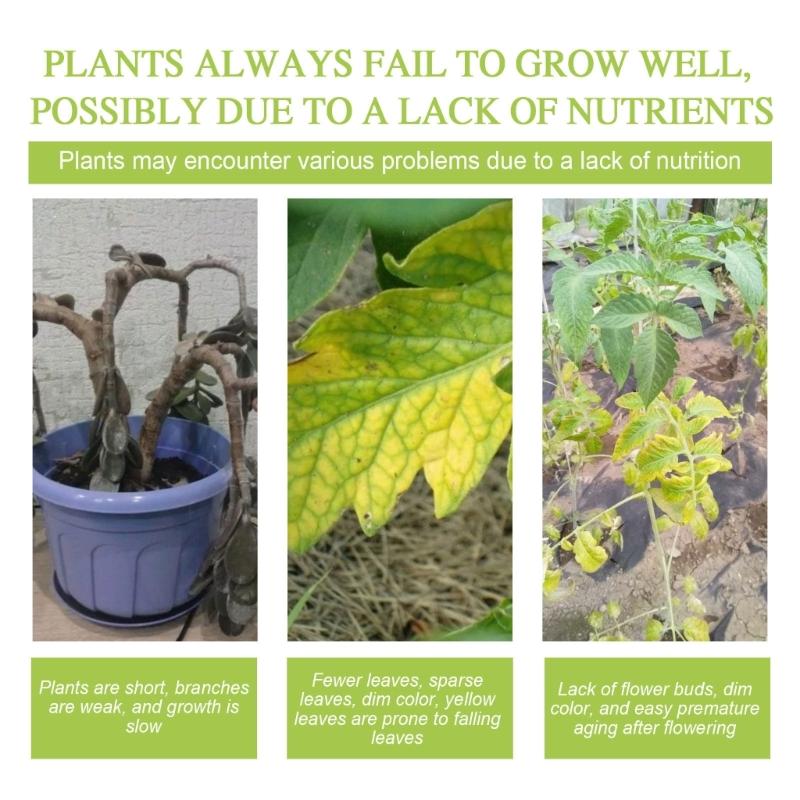 Fast Rooting Powder Plant Nutrient Fertilizers Fruit Tree Food Improve Flowering Survival Rate Healthy Rooting Powder