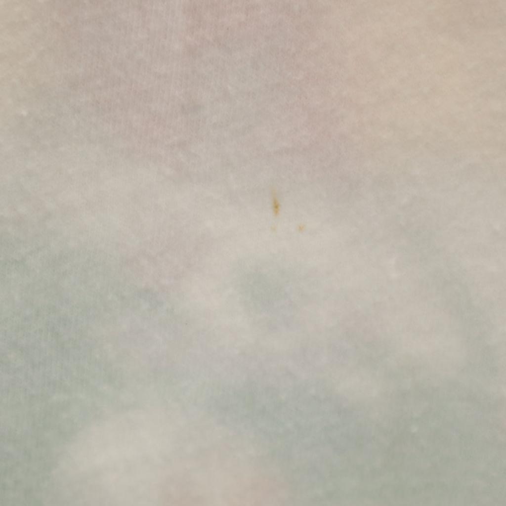 Hanes 80s 90s Made in USA Old American Football RIDER HATERS Short sleeve T-shirt Men's Used