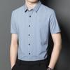 Summer New Young and Middle-Aged Thin Striped Solid Color Short Sleeve Shirt Men's Lapel Business Casual Shirt Men
