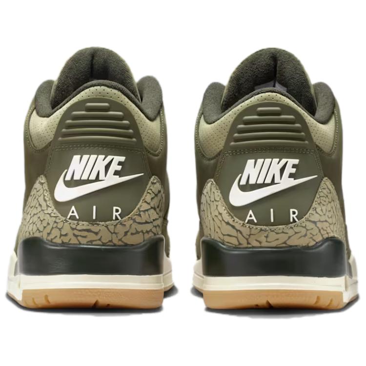 Кроссовки мужские Air Jordan 3 Retro Family Affair Зеленый Средне-оливковый Секвойя DN3707-202