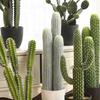 Искусственный кактус Поддельные большие растения кактуса Искусственные кактусы Сагуаро для дома в помещении и на улице Офис Магазин Садовое украшение