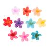 Seaside Vacation Hair Clip Back Of The Head With Multi-Color Optional Bauhinia Clip