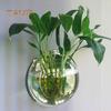 Creative Wall Mounted Clear Acrylic Round Fish Tank Flower Pot Vase Home Decor Decoration