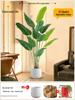 Искусственное дерево Стрелиция - Роскошная зелень для декора гостиной