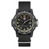 Часы Luminox LUMINOX LEATHERBACK SEA TURTLE GIANT 0320SERIES 0333 [Товар]