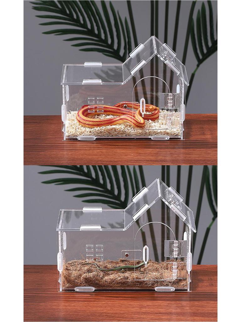 Small Acrylic Reptile Habitat: Transparent Observation Box for Spider, Lizard, Mantis, and Rainforest Landscape