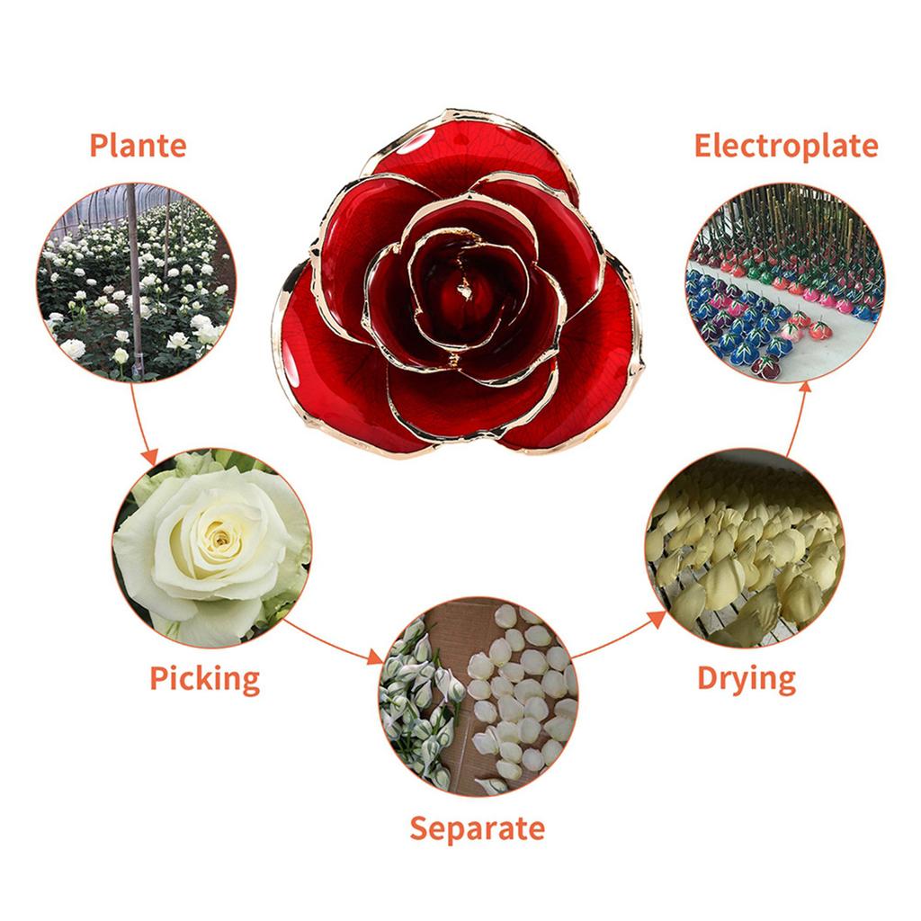 Long Stem Dipped 24k Gold Rose In Gift Box with Clear Display Stand Red Roses for Her