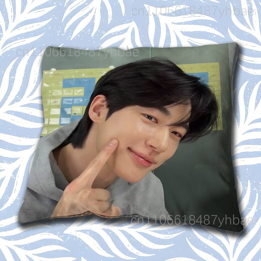 Korea BByeon Woo Seok Cushion Cover Pillow Cover Decor Pillowcase Printed Cushion Case For Couch