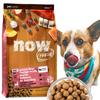 [Доставка свежего качества] NOW FRESH Корм для взрослых собак всех пород, 2,72 кг, Сухой, Рыбный вкус (Форель, Лосось и Сельдь), Регулярный, Беззерновой, Без еды