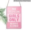 2D Flat Decorative Sign & Plaque, 1pc Fun "No Trespassing Girls Only No Boys Allowed " Aluminum Metal Sign - Light Pink Humorous Wall Decoration for