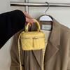new small box bag texture messenger bag Internet celebrity chain bag shoulder shopping makeup women's bag light luxury fashion