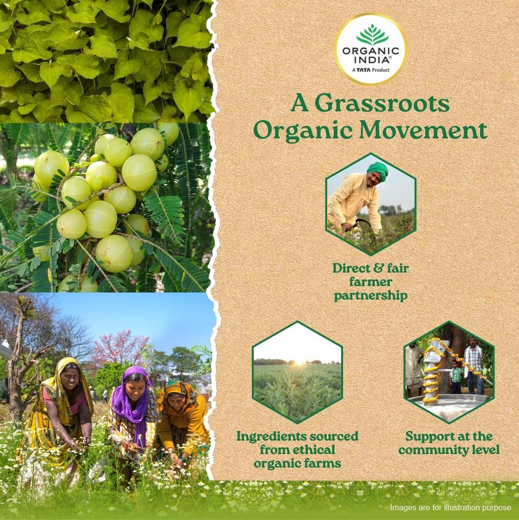 ORGANIC INDIA Баланс Веса 60 Вегетарианских Капсул Для Здорового Метаболизма И Сбалансированной Энергии В Формуле На Растительной Основе