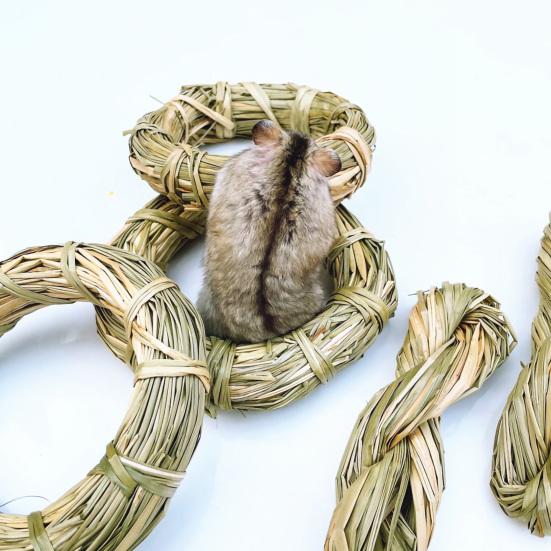 Molar Toy Multifunctional Attractive Natural Grass Ring Rabbit Toy for Bunny