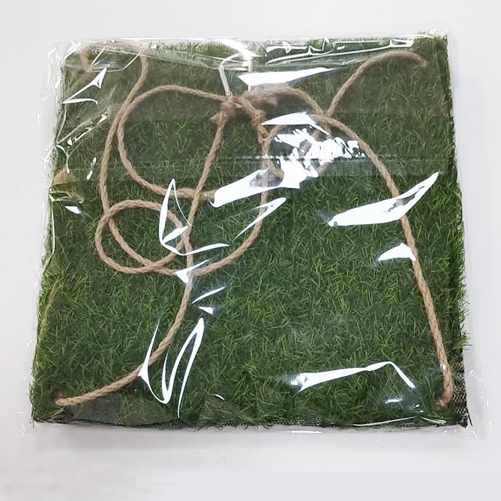Parrot, Squirrel & Hamster Grass Climbing Hammock Toy