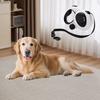 Good Quality Night Safety Retractable Dog Leash with Illumination Light 7H Runtime Built-in Light and Waste Bag