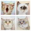 5D милый кот животное узор полная алмазная живопись круглая дрель смолы стразы рисунок DIY домашняя мозаика украшение подарок