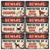 [ WellCraft ] Dog Beware Protected By A Borzoi Metal Sign Tin Poster Home Decor Bar Wall Art Painting 20*30 CM Sizer DB-12