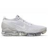 Nike Air VaporMax Flyknit 3 Pure Platinum Women's Running Shoes AJ6910-100