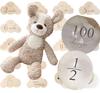 JP-SAKURA [подлинный] Первая игрушка Медведь Половина дня рождения 100 дней празднования Мой список младенцев Мягкая игрушка Подарок Baby Shower (Собака (с деревянной биркой + воздушный шар))