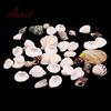 Fantastic 100g Mixed Sea Beach Shells Crafts Seashells Aquarium Decor Photo Props