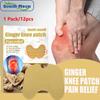 1 Pack/12pcs Heat Patch Ginger Paste Neck Shoulder Waist Leg Knee Joint Pain Hot Compress Plaster Paste Muscle Sore Ginger Paste