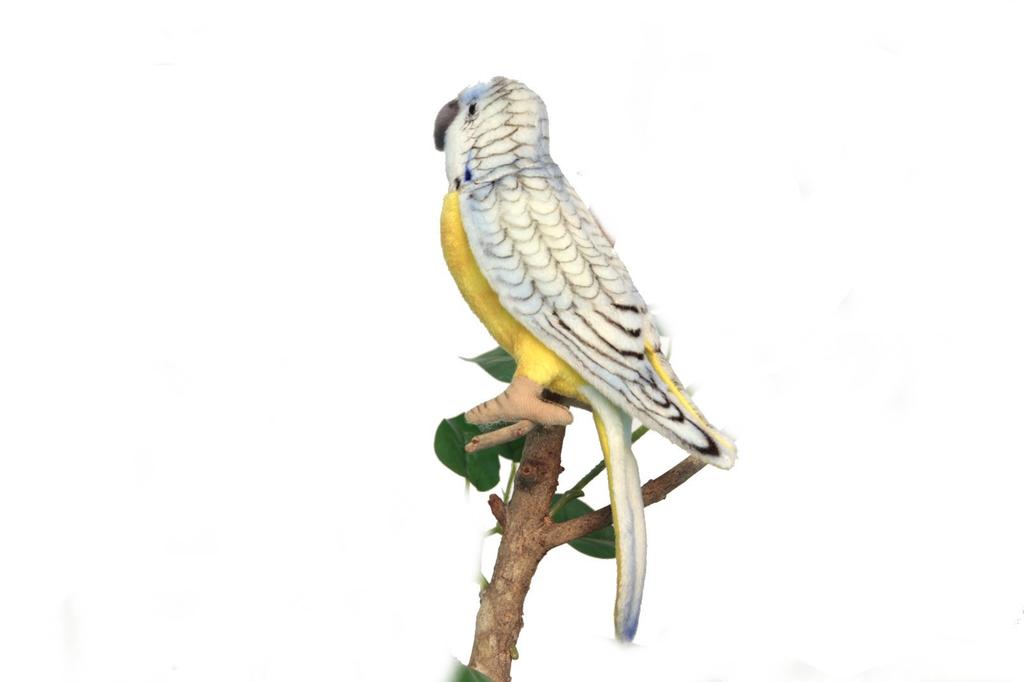 HANSA Budgerigar No.4653