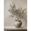 Retro Elegant Olive Tree and Lemon Canvas Poster Vase Wall Art Poster Perfect Gift for Living Room Bedroom Dormitory Home Decor