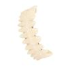 1Pair Resin Resin Denture Teeth Set Dental Supply DIY False Teeth  For Training Models