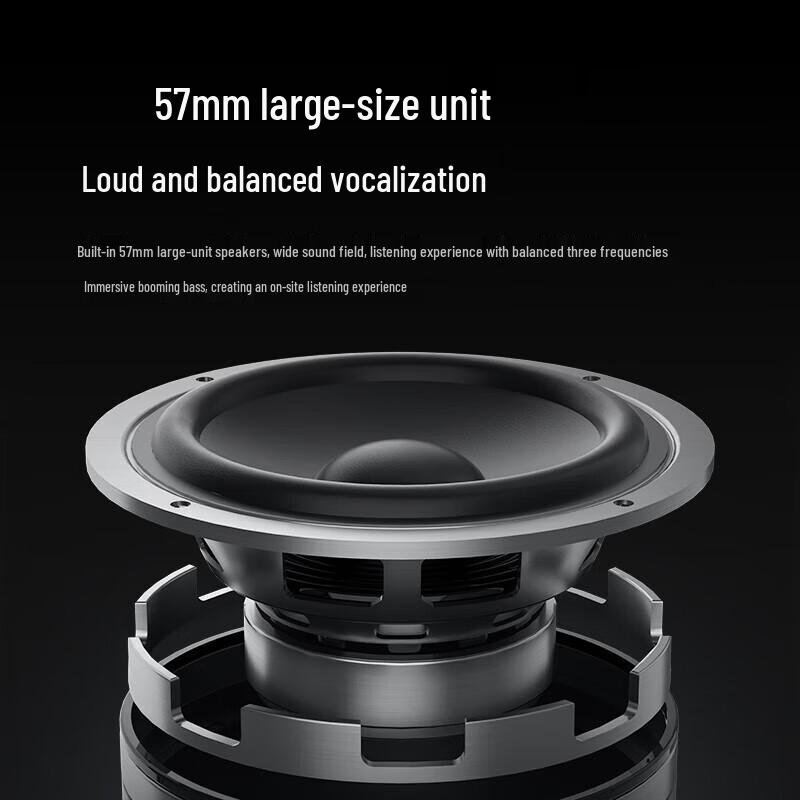 Philips TAS3209 Outdoor Portable Bluetooth Speaker