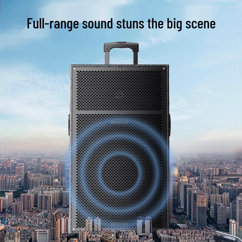 Портативная уличная Bluetooth-колонка Newsmy N550 12 дюймов с двумя микрофонами (Китайская версия)