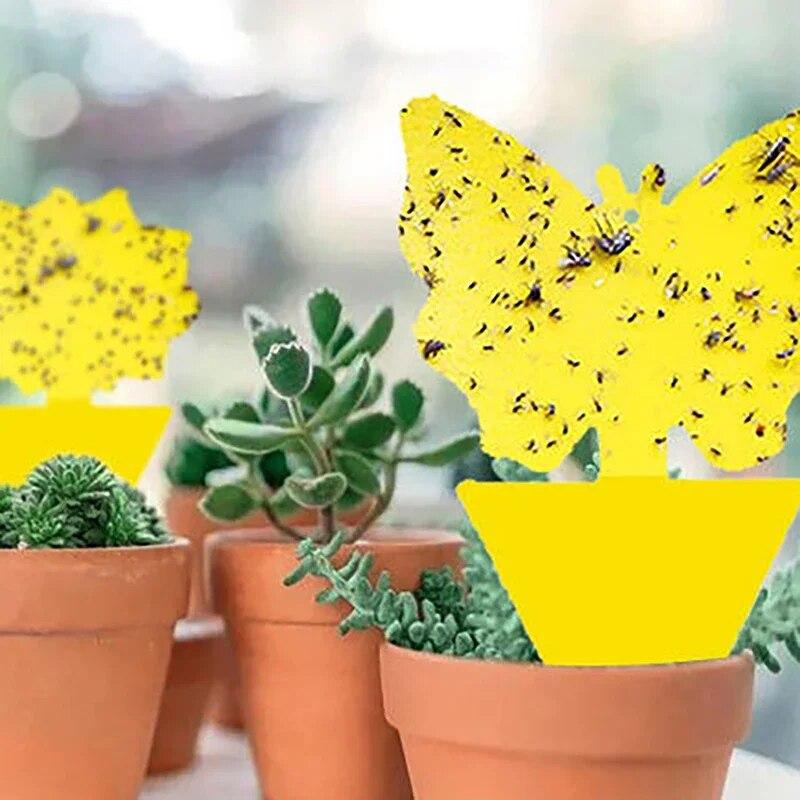 10 шт., сильные липкие ловушки для насекомых, уличные ловушки для насекомых, двусторонняя липкая доска, ловушка для борьбы с вредителями для сада