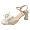 Fairy wind bow open-toed high-heeled sandals female 2025 summer new beautiful fashion thick heel one-button sandals
