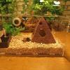 Aquarium Ornament Landscape Simulation Pyramid Shrimp Fish Shelter Fish Tank Decor