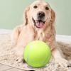 Большой теннисный мяч для собак, игрушка для питомца, пляжные виды спорта на открытом воздухе, надувные игровые принадлежности