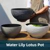 Медная монета Трава Денежная трава Цветочный горшок Пластик Имитация камня Очень большая чаша Горшок для лотоса Непористый Горшок для кувшинки и лотоса