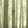 Noren Kobo Noren Wall Hanging Room Japanese Bamboo Forest Young 10568A Tapestry, Divider/Privacy Screen, Half-Length Curtain, Pattern, 85x170cm,