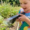 Push Type Portable Insect Trap Transparent Outdoor Bees Catching Tool  Kids Learning