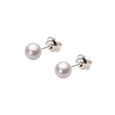 Серьги с жемчугом Akoya PT900 платина HA00050R12WPNPA04P 5.0 мм женские