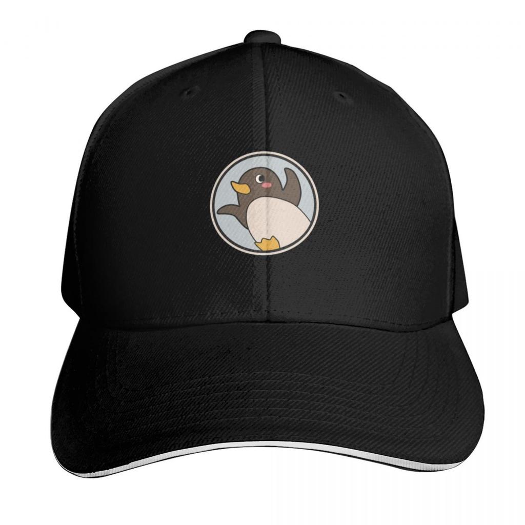A Place Further than the Universe Challenge for Antarctic Logo Essential Baseball Cap Rugby western Hat For Women Unisexs