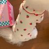 Pet Supplies Cute Pet Strawberry Base Shirt Fashion Breathable Dog Vest Soft Pet Clothes Summer