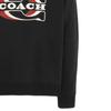 Свитшот мужской FW22 Черный CE343-BLK