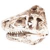 Resin Dinosaur Skull Ornament Decorative Supplies for Christmas Holidays Bars Nightclub
