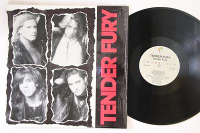 LP Пластинка TENDER FURY - Tender Fury D174777 POSH BOY 1988 США Рок Б/У