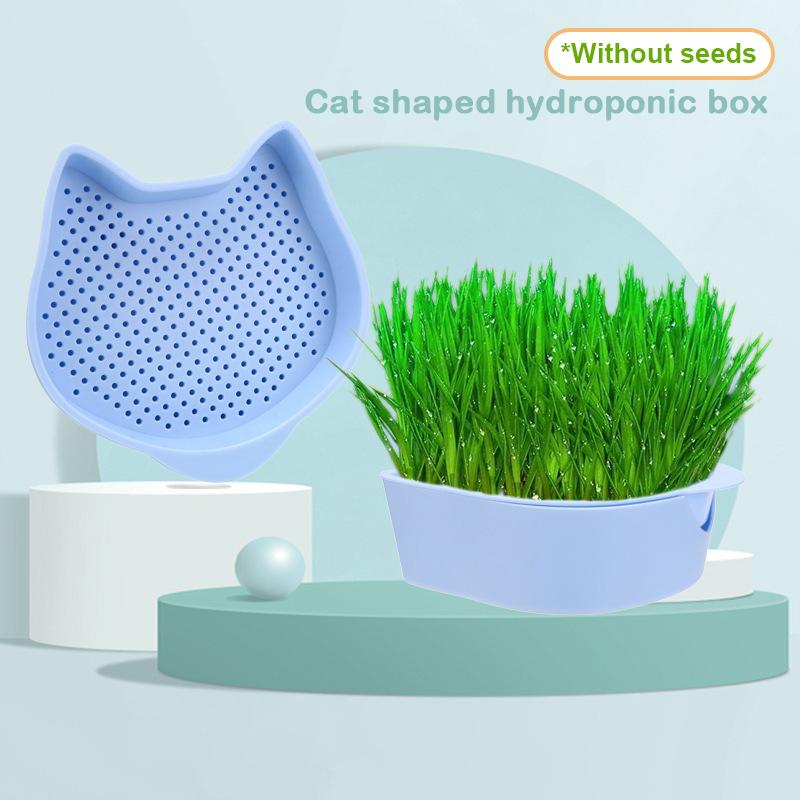 Mint Cat Grass Pot Soilless Hydroponic Lazy Cat Grass Planting Box Catnip Promote Digestion Cat Snacks Planting Container Tools