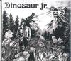 CD DINOSAUR JR. - Dinosaur BGR001CD BAKED GOODS 2007 US Rock
