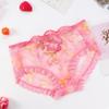 Plus Size Nude Lace Low Waist Embroidered Panties for Women
