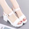 High Heels Gladiator Sandals Woman Open Head Sexy Block Heel Platform Shoes Summer Buckle Size Women Sandals