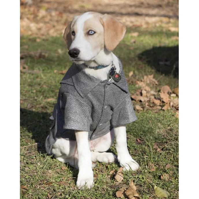 Static Rivited Fashion Collared Wool Pet Coat,Vintage Horn Button Wool Blend Dog Coat Thick Warm Two‑leg Pet Jacket Turn‑down Collar Pocket