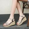 Daily Woman Shoes Wedge With Platform Waterproof Sandals For Women Sales Comfortable And Elegant Wholesale Bulk Low Price