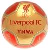 Liverpool FC Фирменный 26-панельный футбольный мяч